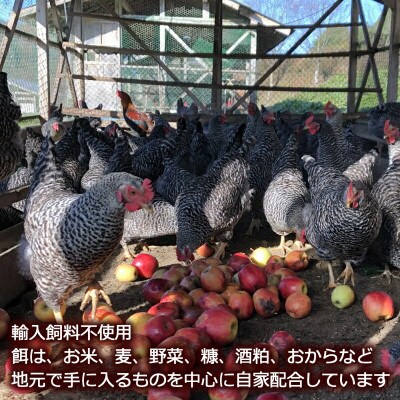 ふぁーむbuffoの平飼いたまご 30個