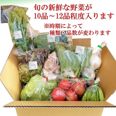 旬の野菜おまかせセット