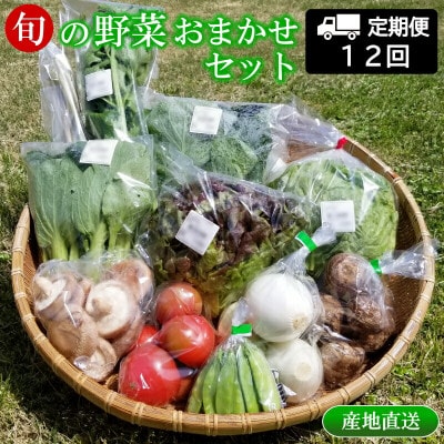 【毎月定期便】【毎月発送】季節野菜 道の駅直送おまかせセット さんさん市全12回