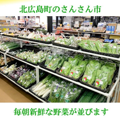 【毎月定期便】【毎月発送】季節野菜 道の駅直送おまかせセット さんさん市全12回