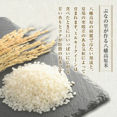 「八幡高原米　風のあしあと」(ミルキークイーン)精米5kg 2025年産