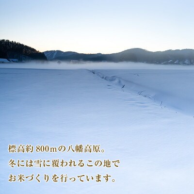 「八幡高原米　風のあしあと」(ミルキークイーン)精米5kg 2025年産