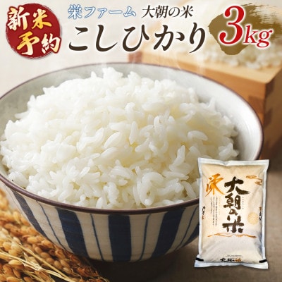 栄ファーム 大朝の米 こしひかり(精米3kg)2026年産