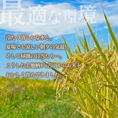 栄ファーム 大朝の米 こしひかり(精米3kg)2026年産