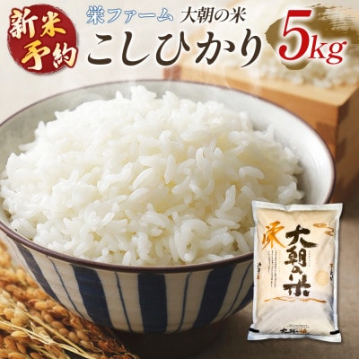 栄ファーム 大朝の米 こしひかり(精米5kg)2026年産