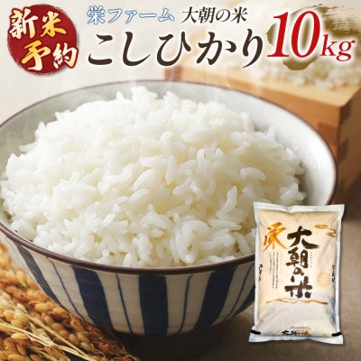 栄ファーム 大朝の米 こしひかり(精米10kg)2026年産