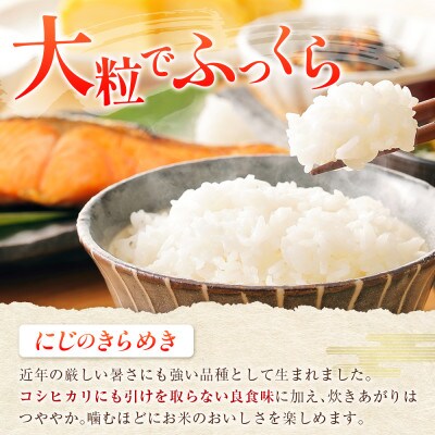 【栄ファーム】大朝の米 にじのきらめき 精米10kg 2026年産