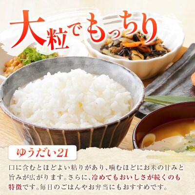 【栄ファーム】大朝の米 ゆうだい21 精米5kg 2026年産