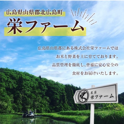 【毎月定期便】ゆうだい21(精米) 10kg 大朝の米ゆうだい21 栄ファーム全6回