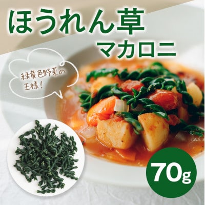 農家のつくるベジタブルパスタ VEGE.PA マカロニ　3種セット