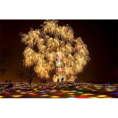 限定イベント 2020年2月29日(土)「越後妻有 雪花火」鑑賞券
