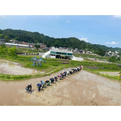 「まつだい棚田バンク」 標準コース (150平方メートル)