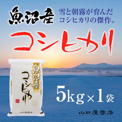 【令和6年産】【厳選☆十日町育ち】 魚沼産コシヒカリ　5kg