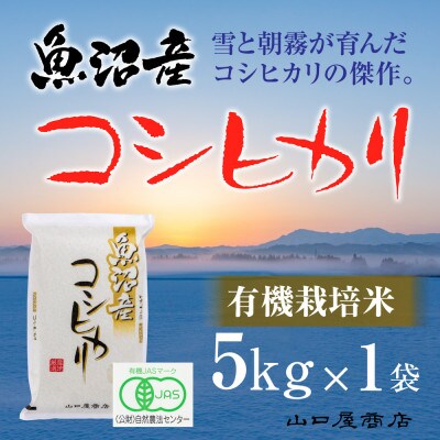 【令和6年産】【厳選☆十日町育ち】“有機栽培米” 魚沼産コシヒカリ　5kg
