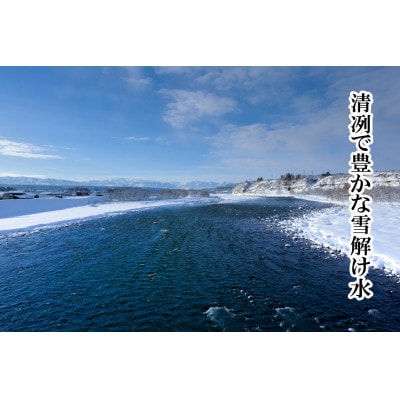 【令和6年産】【厳選☆十日町育ち】“有機栽培米” 魚沼産コシヒカリ　5kg