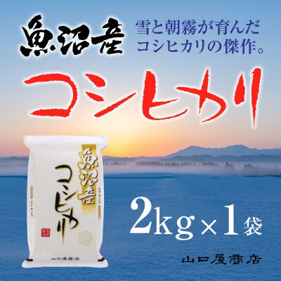 【令和6年産】【厳選☆十日町育ち】 魚沼産コシヒカリ　2kg