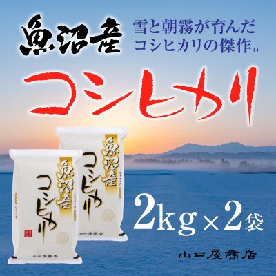 【令和6年産】【厳選☆十日町育ち】 魚沼産コシヒカリ　2kg×2袋