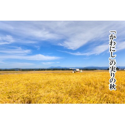 【令和6年産】【厳選☆十日町育ち】 魚沼産コシヒカリ　2kg×2袋