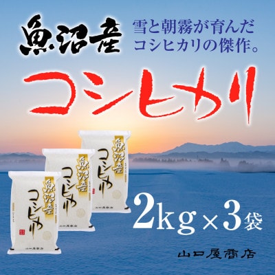 【令和6年産】【厳選☆十日町育ち】 魚沼産コシヒカリ　2kg×3袋