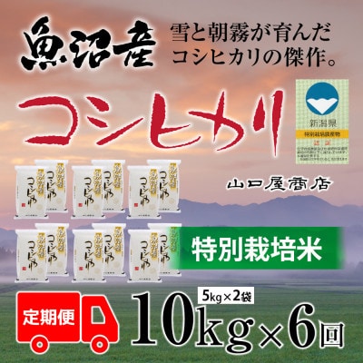【毎月定期便】【精選☆川西地区育ち】　“特別栽培米”　魚沼産コシヒカリ　5kg×2袋全6回