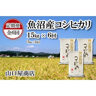 【毎月定期便】【精選☆川西地区育ち】　“特別栽培米”　魚沼産コシヒカリ　5kg×3袋全6回