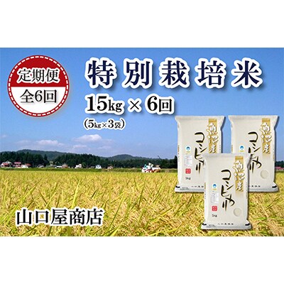 【毎月定期便】【精選☆川西地区育ち】　“特別栽培米”　魚沼産コシヒカリ　5kg×3袋全6回