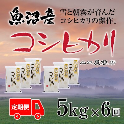 【毎月定期便】【精選☆川西地区育ち】　魚沼産コシヒカリ　5kg　全6回