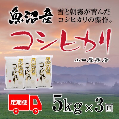 【毎月定期便】【厳選☆川西地区育ち】　魚沼産コシヒカリ　5kg全3回