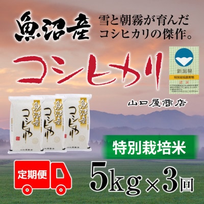 【毎月定期便】【厳選☆川西地区育ち】　“特別栽培米”　魚沼産コシヒカリ　5kg全3回