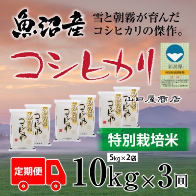【毎月定期便】【厳選☆川西地区育ち】　“特別栽培米”　魚沼産コシヒカリ　5kg×2袋全3回