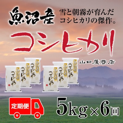 【毎月定期便】【厳選☆川西地区育ち】　魚沼産コシヒカリ　5kg　全6回