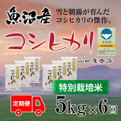 【毎月定期便】【厳選☆川西地区育ち】　“特別栽培米”　魚沼産コシヒカリ　5kg　全6回