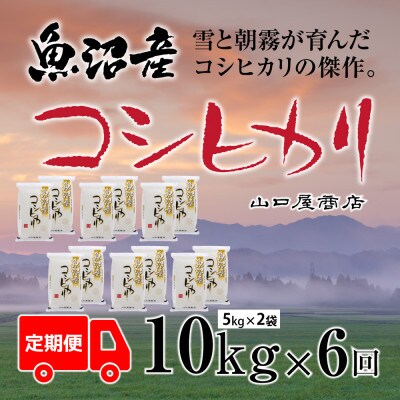 【毎月定期便】【厳選☆川西地区育ち】　魚沼産コシヒカリ　5kg×2袋　全6回