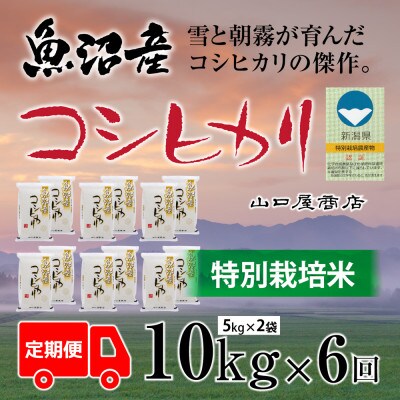【毎月定期便】【厳選☆川西地区育ち】　“特別栽培米”　魚沼産コシヒカリ　5kg×2袋　全6回