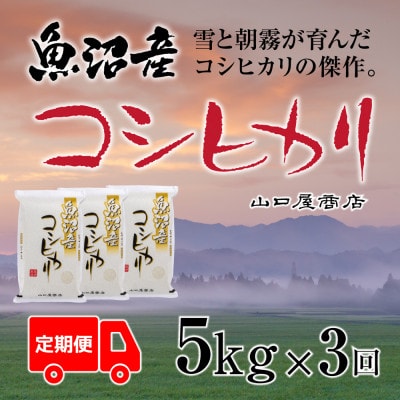 【毎月定期便】【厳選☆川西地区育ち】　魚沼産コシヒカリ　5kg　全3回