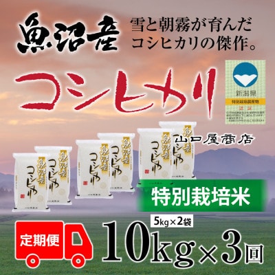 【毎月定期便】【厳選☆川西地区育ち】　“特別栽培米”　魚沼産コシヒカリ　5kg×2袋　全3回