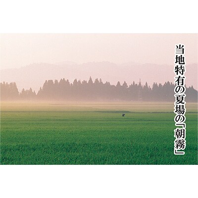 2023年3月発送開始『定期便』魚沼産コシヒカリ5kg全3回