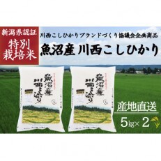 令和4年産 新潟県魚沼産 川西こしひかり 1等米 5kg×2袋