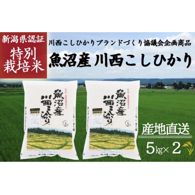 令和4年産 新潟県魚沼産 川西こしひかり 1等米 5kg×2袋
