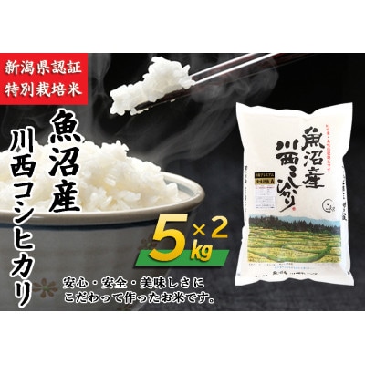 新潟県認証米  新潟県魚沼産 川西コシヒカリ 10kg(5kg×2袋)