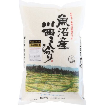 令和4年産 新潟県魚沼産 川西こしひかり 1等米 5kg×2袋