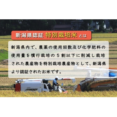 新潟県認証米  新潟県魚沼産 川西コシヒカリ 10kg(5kg×2袋)