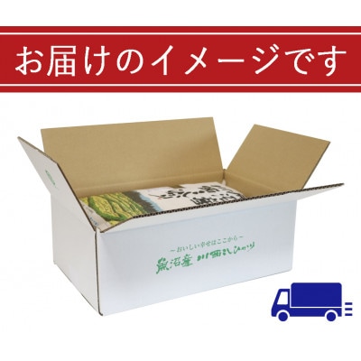 新潟県認証米  新潟県魚沼産 川西コシヒカリ 10kg(5kg×2袋)