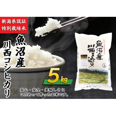 新潟県認証米 新潟県魚沼産 川西コシヒカリ  5kg