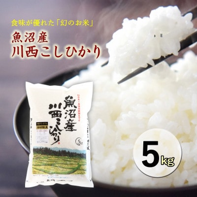 新潟県魚沼産 川西コシヒカリ  5kg