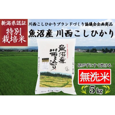 【無洗米】令和4年産 新潟県魚沼産 川西こしひかり 1等米 5kg