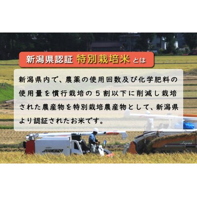 新潟県認証米　【無洗米】 新潟県魚沼産 川西コシヒカリ  5kg　