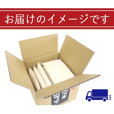 【無洗米】新潟県魚沼産　川西こしひかり2合(300g)×10袋入　令和8年産米