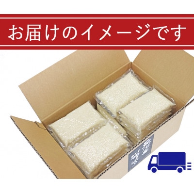 【無洗米】新潟県魚沼産　川西こしひかり1合(150g)×30袋入　令和8年産米
