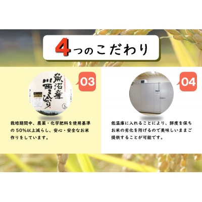 新潟県魚沼産　川西こしひかり　精米　1kg×3　令和8年産米
